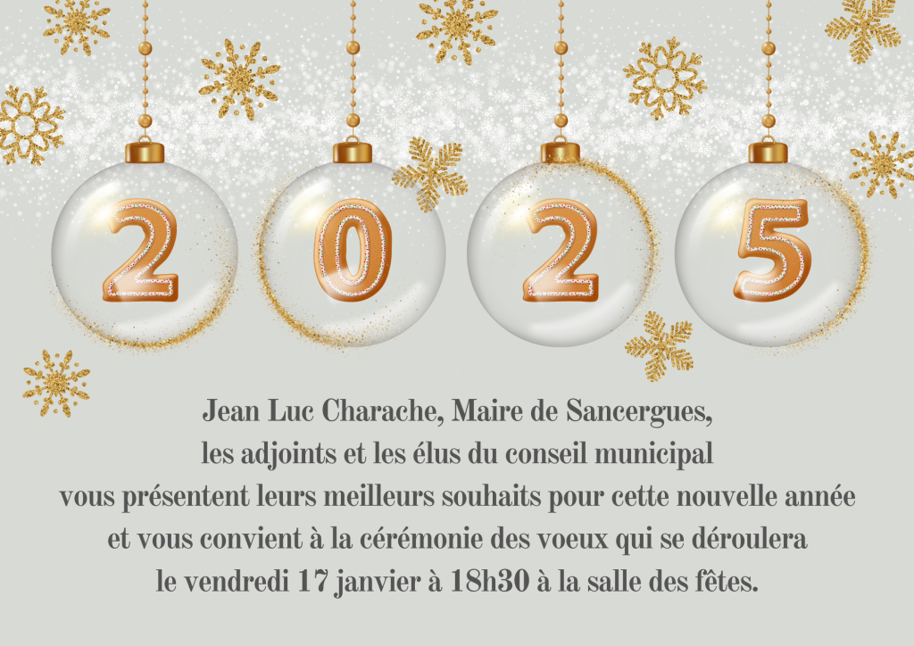 Vœux 2025