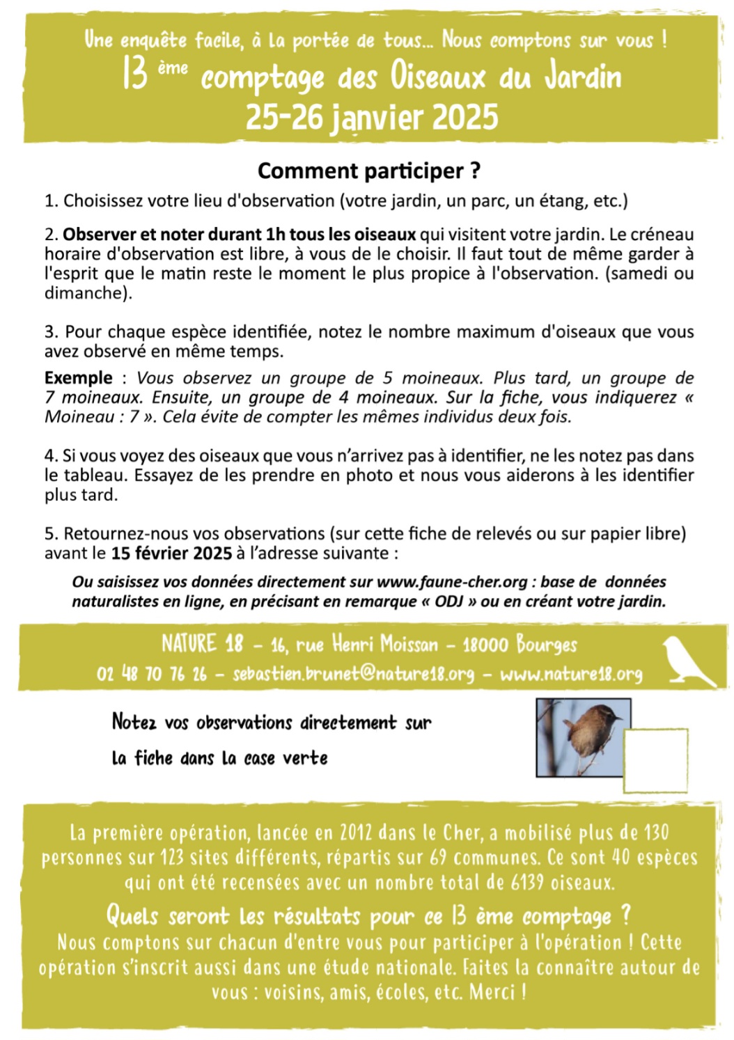 comptage des oiseaux
