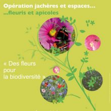 Opération « Jachères et espaces fleuris et apicoles