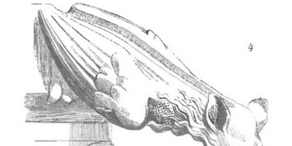Vignette d'entrée